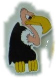 mybuzzard.jpg