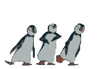 pengani.gif